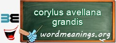 WordMeaning blackboard for corylus avellana grandis